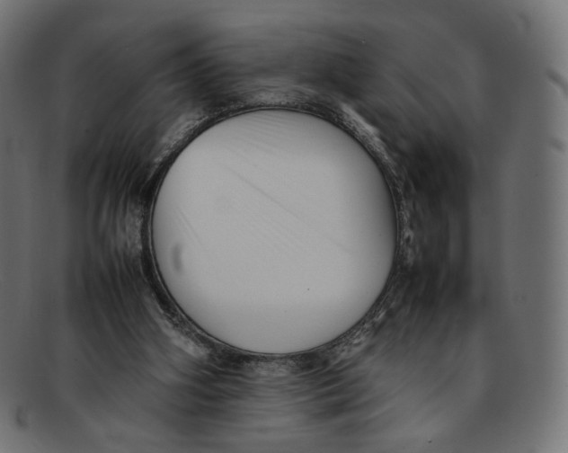 X0000092060106200710101041