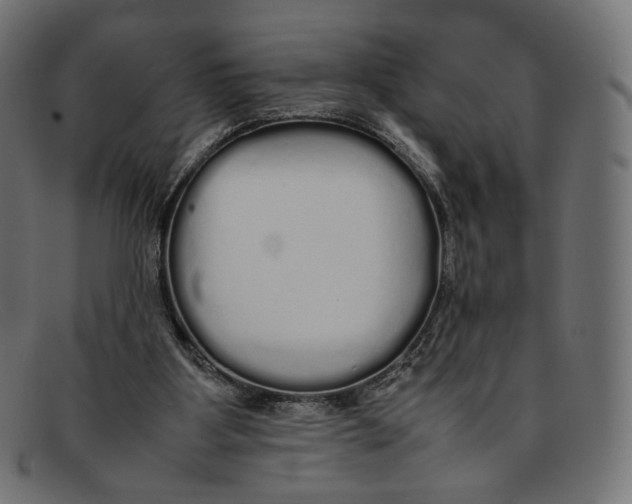 X0000092060107200710101041