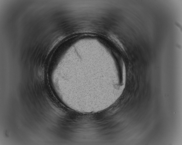 X0000092060108200710101041