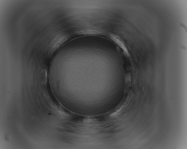 X0000092060109200710101041