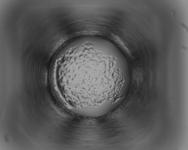 X0000092060110200710101041