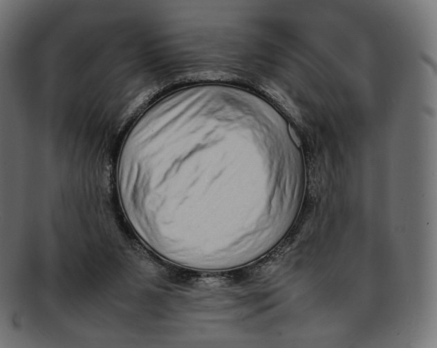 X0000092060111200710101041