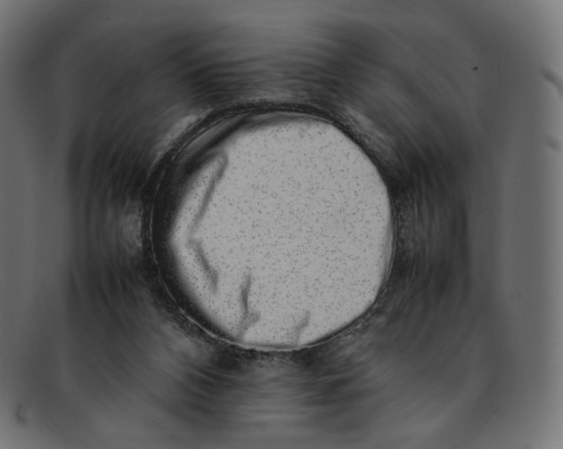 X0000092060112200710101041