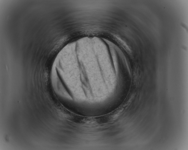 X0000092060113200710101041