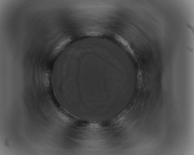 X0000092060114200710101041