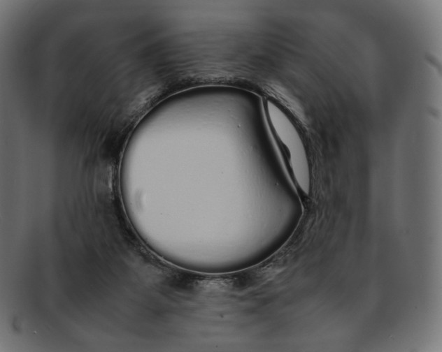 X0000092060115200710101041