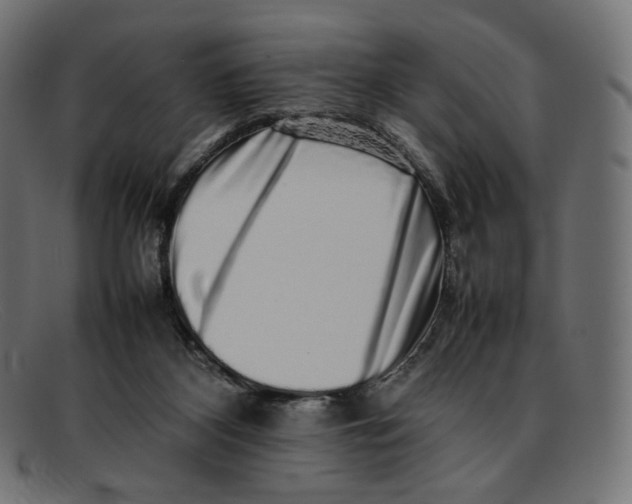 X0000092060116200710101041