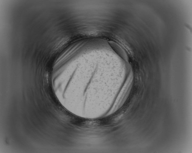 X0000092060117200710101041