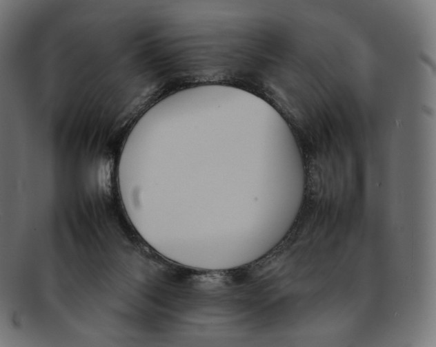 X0000092060118200710101041