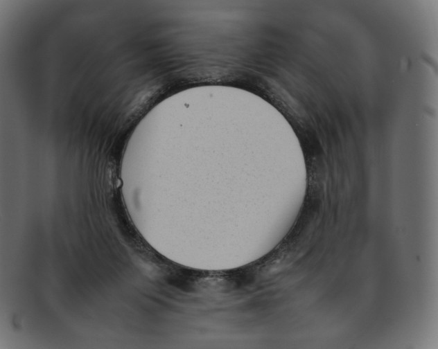 X0000092060119200710101041