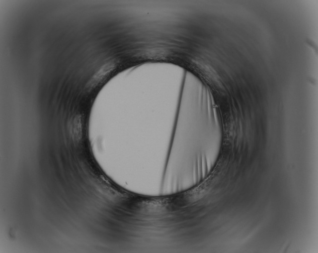 X0000092060120200710101041