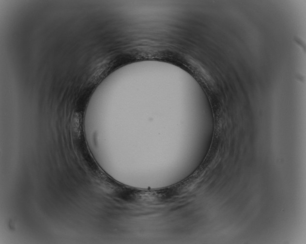 X0000092060121200710101041