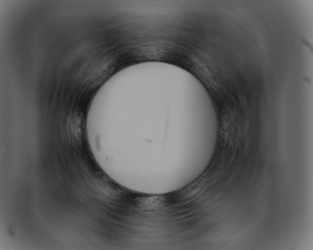 X0000092060122200710101041