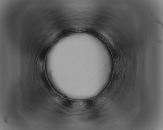 X0000092060123200710101041