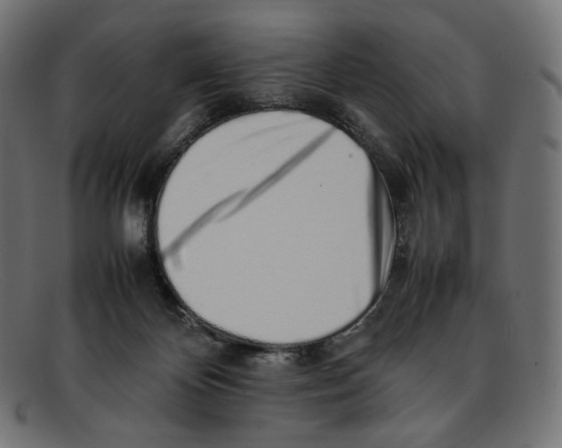 X0000092060124200710101041