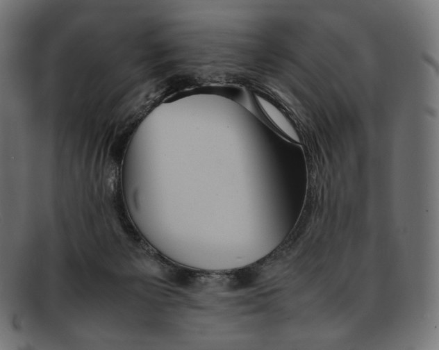 X0000092060125200710101041