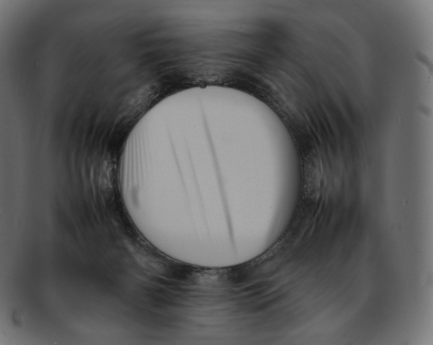 X0000092060126200710101041