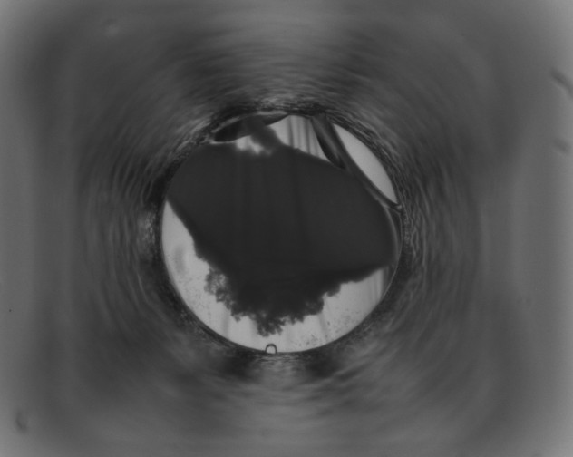 X0000092060127200710101041