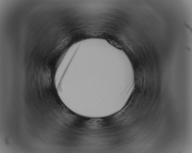 X0000092060128200710101041