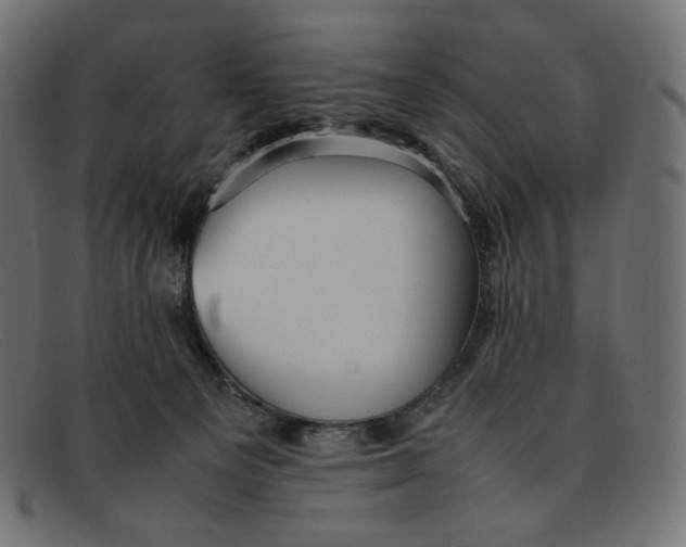 X0000092060129200710101041