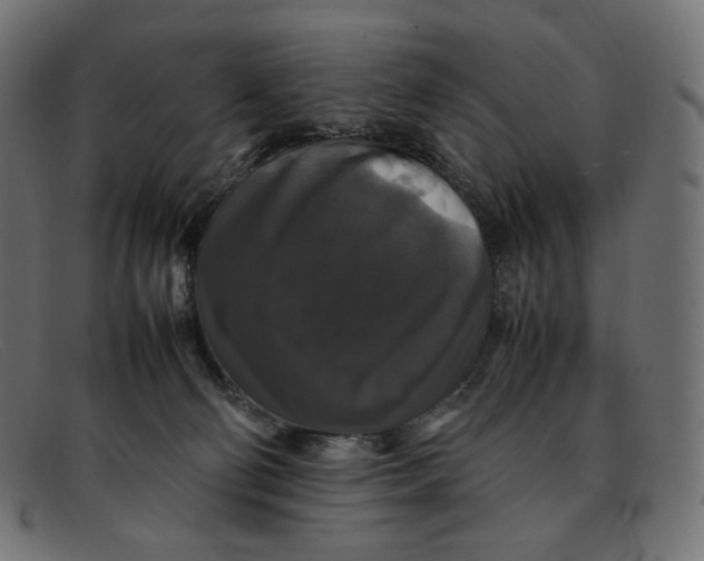 X0000092060130200710101041