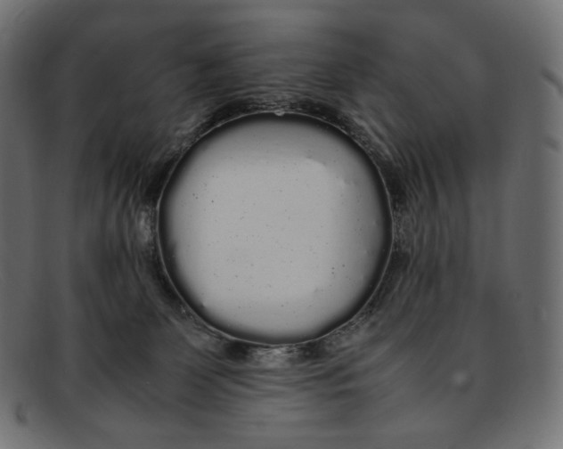 X0000092060131200710101041