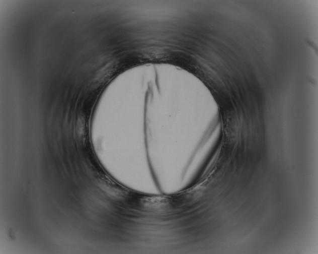 X0000092060132200710101041