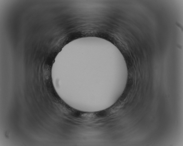 X0000092060133200710101041