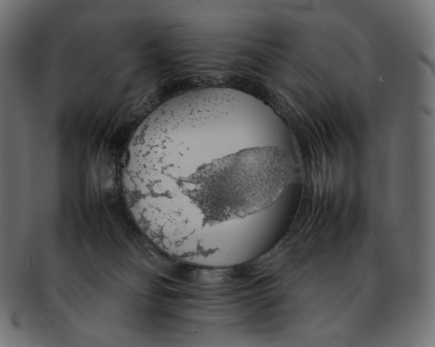 X0000092060134200710101041