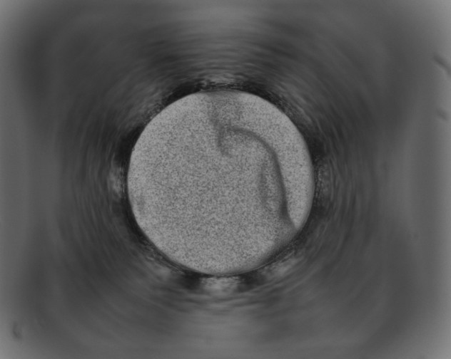 X0000092060135200710101041