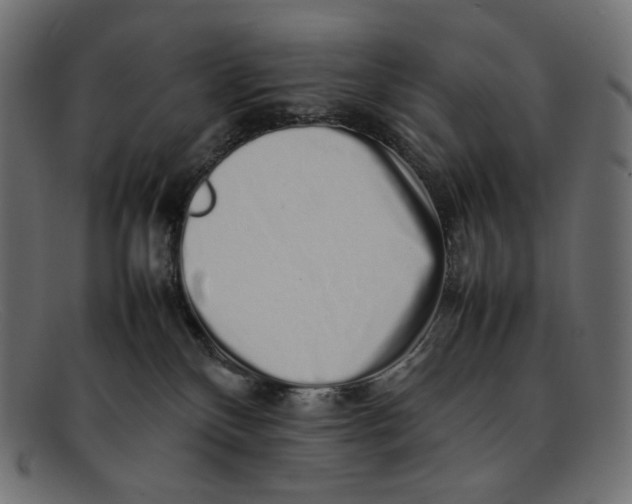 X0000092060136200710101041