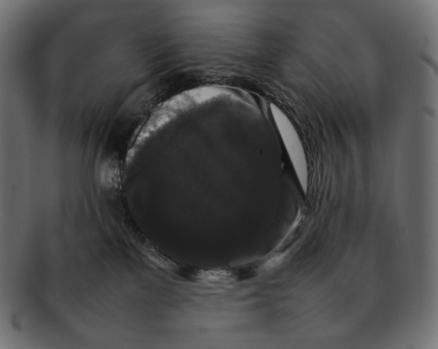 X0000092060137200710101041