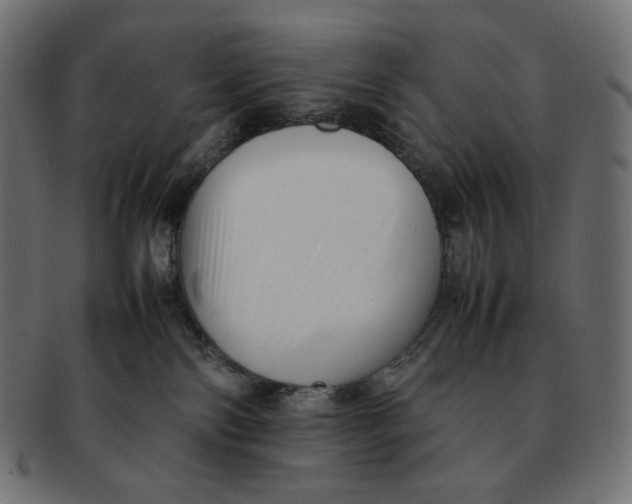 X0000092060138200710101041