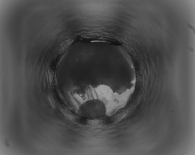 X0000092060139200710101041