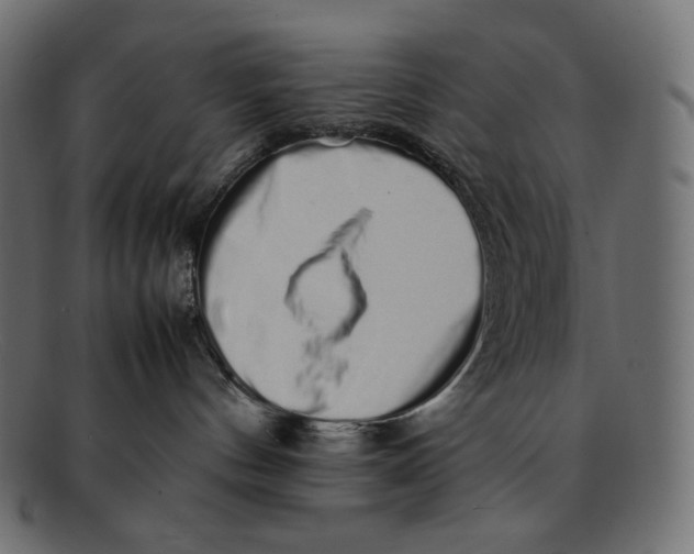 X0000092060144200710101040