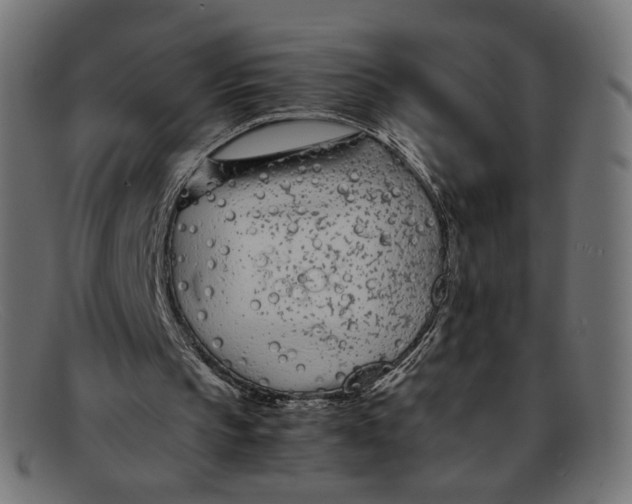 X0000092060145200710101040