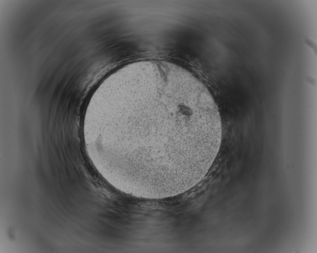 X0000092060146200710101040