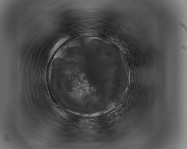 X0000092060147200710101040