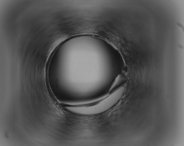 X0000092060148200710101040