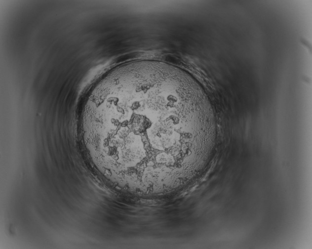 X0000092060149200710101040