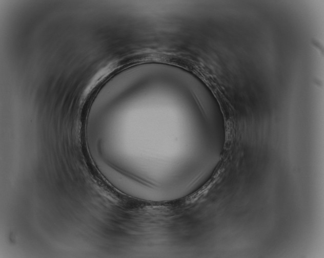 X0000092060150200710101040