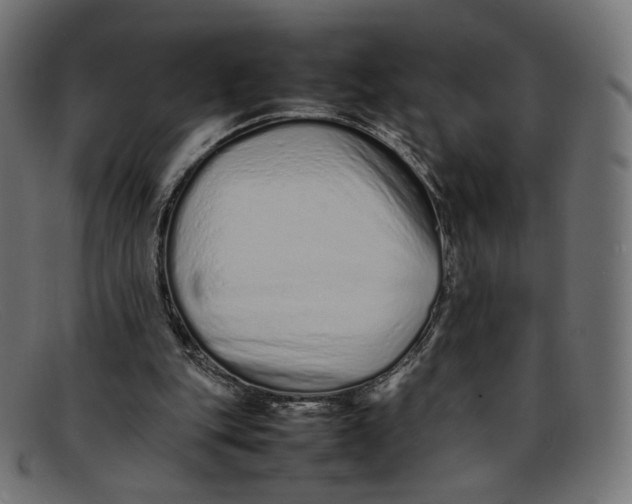 X0000092060151200710101040