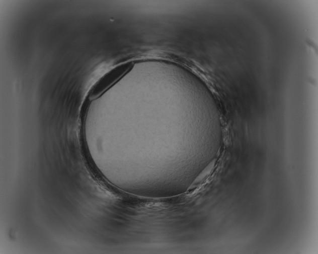 X0000092060152200710101040