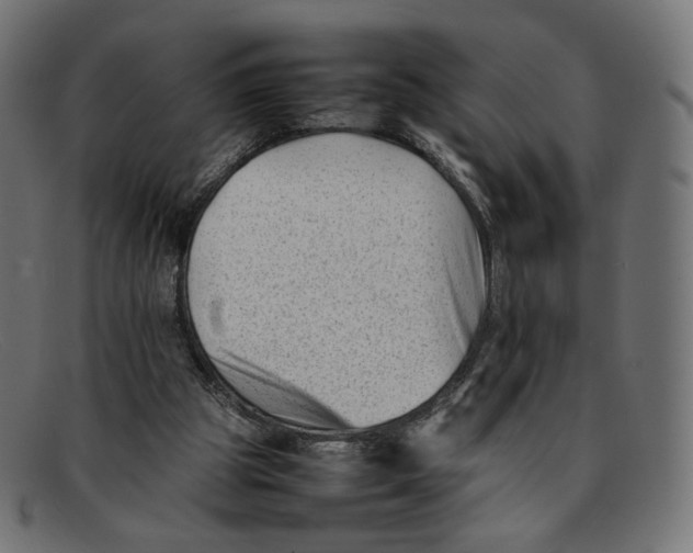 X0000092060153200710101040