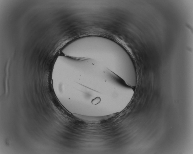 X0000092060154200710101040