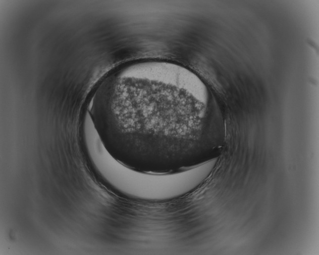 X0000092060156200710101040