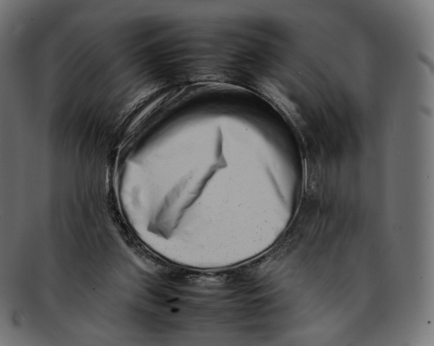 X0000092060157200710101040