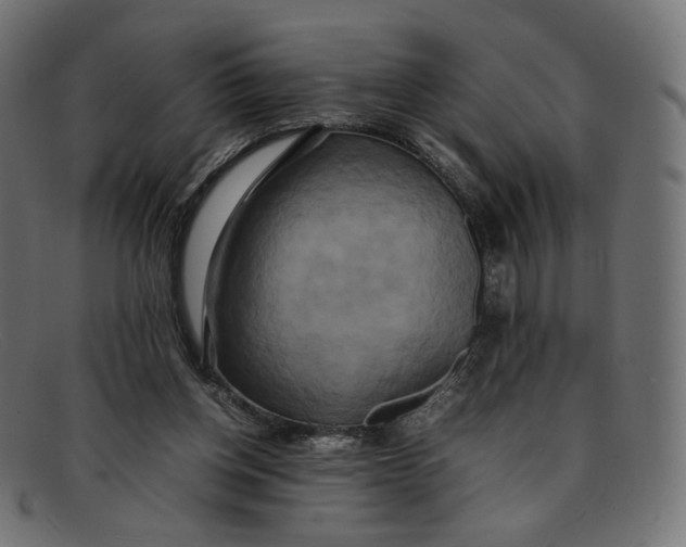 X0000092060158200710101040