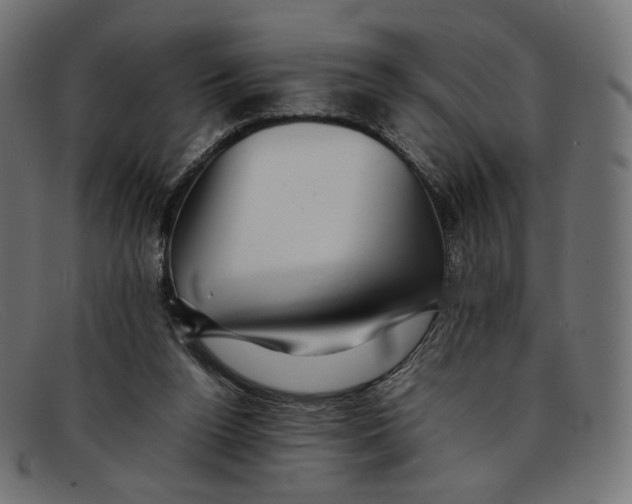 X0000092060160200710101040