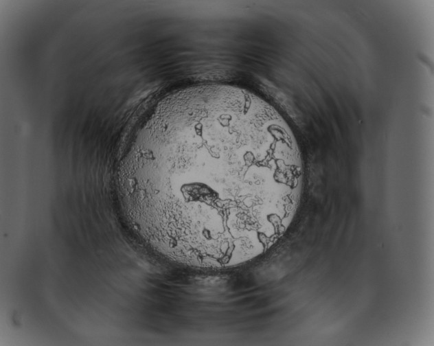 X0000092060161200710101040